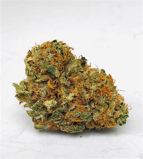 SHOKi cocktails are fun, indulgent, sexy, dramatic AF, and crafted for the way you already. . Shoki weed strain